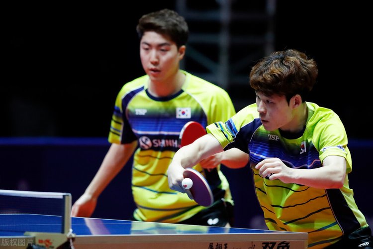 天津津门虎 天津津门虎