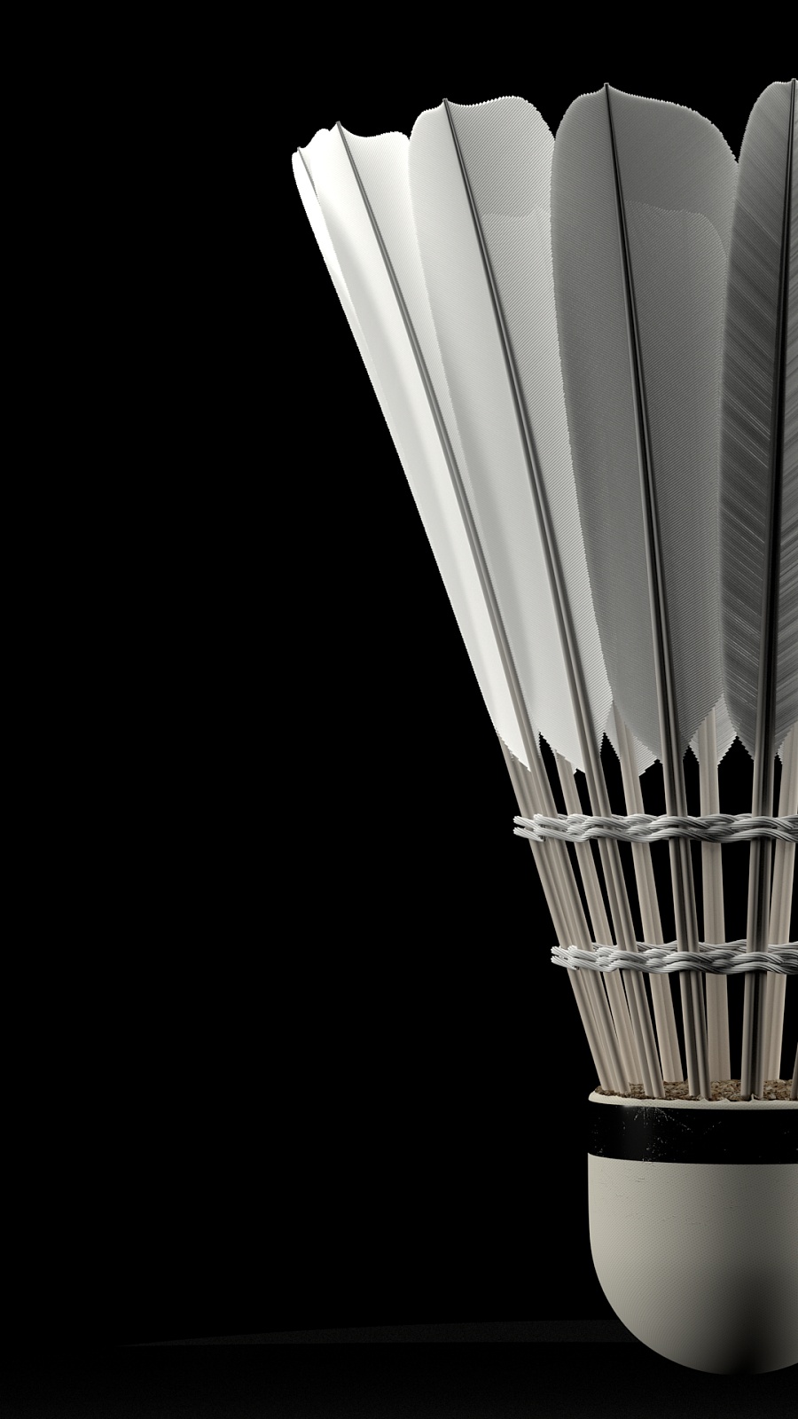 场上视野 场上视野